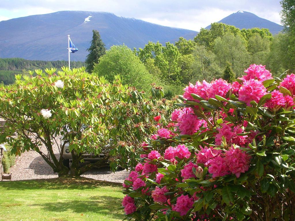 Torbeag House Bed and Breakfast Fort William Eksteriør billede