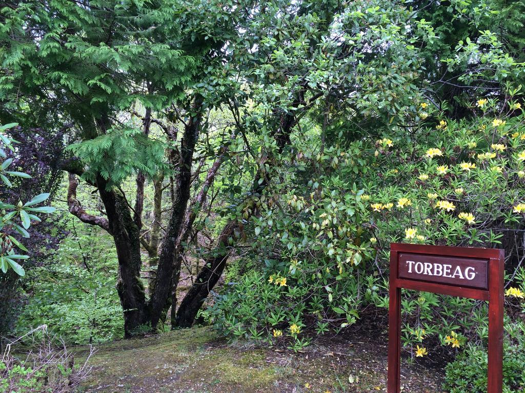Torbeag House Bed and Breakfast Fort William Eksteriør billede